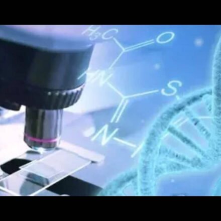 Chinese girl dies after gene editing treatment: report
