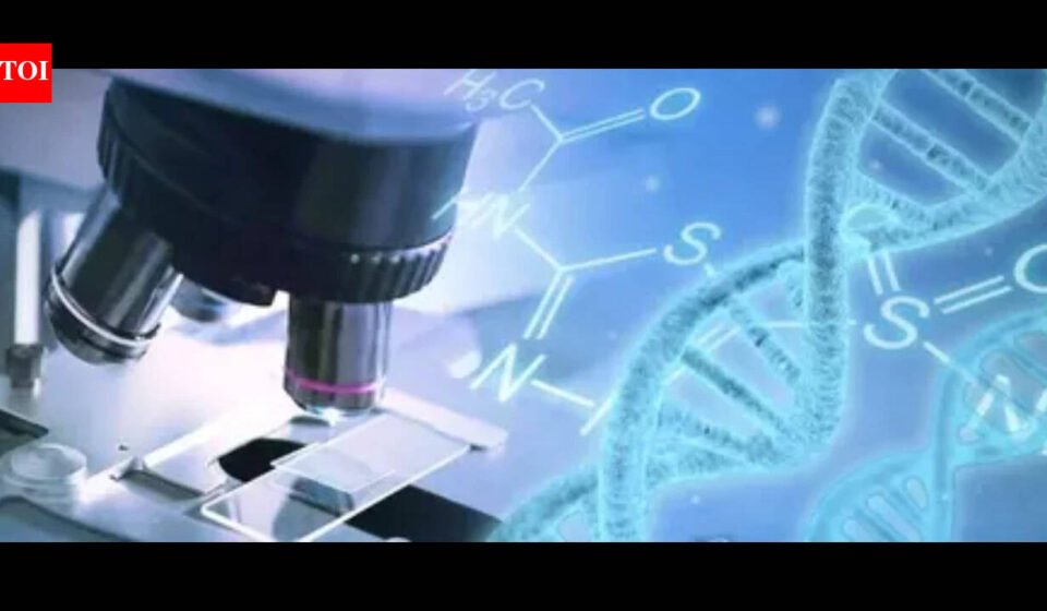 Chinese girl dies after gene editing treatment: report