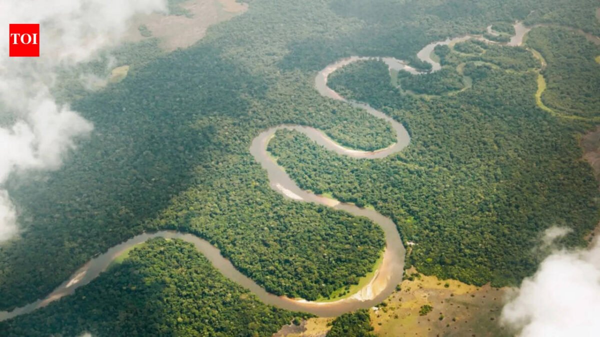 Congo River: The Congo River releases 40,000 cubic meters of fresh water into the Atlantic Ocean every second. Scientists track its whereabouts