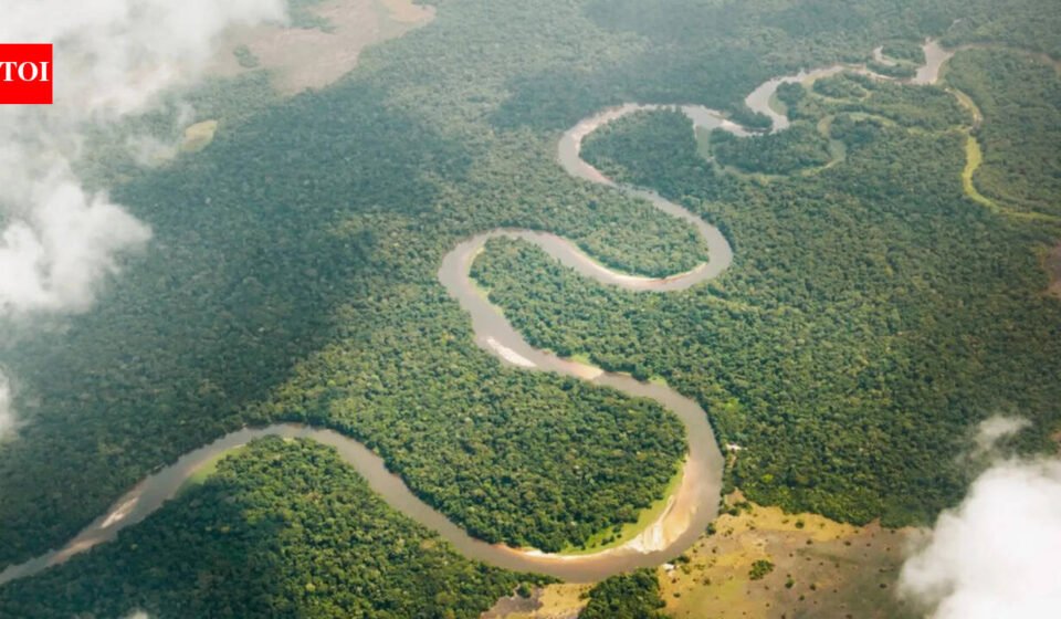 Congo River: The Congo River releases 40,000 cubic meters of fresh water into the Atlantic Ocean every second. Scientists track its whereabouts