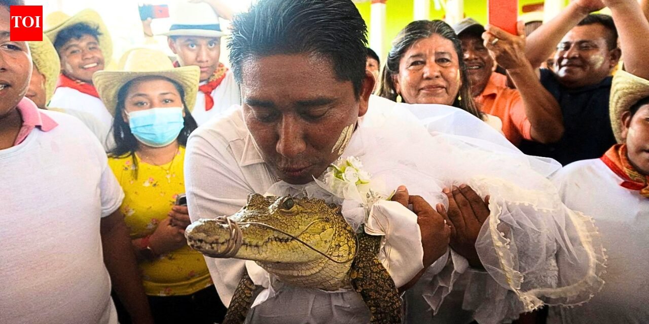 Crocodile Wedding: Mexico mayor marries caiman every year, but the real story is about people and nature | World News