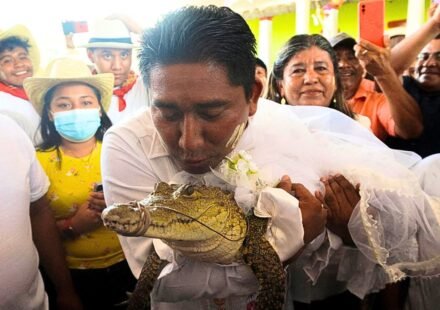 Crocodile Wedding: Mexico mayor marries caiman every year, but the real story is about people and nature | World News