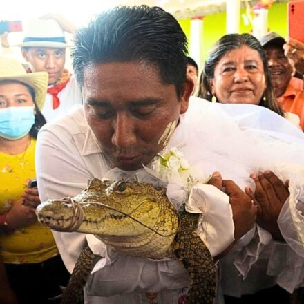 Crocodile Wedding: Mexico mayor marries caiman every year, but the real story is about people and nature | World News