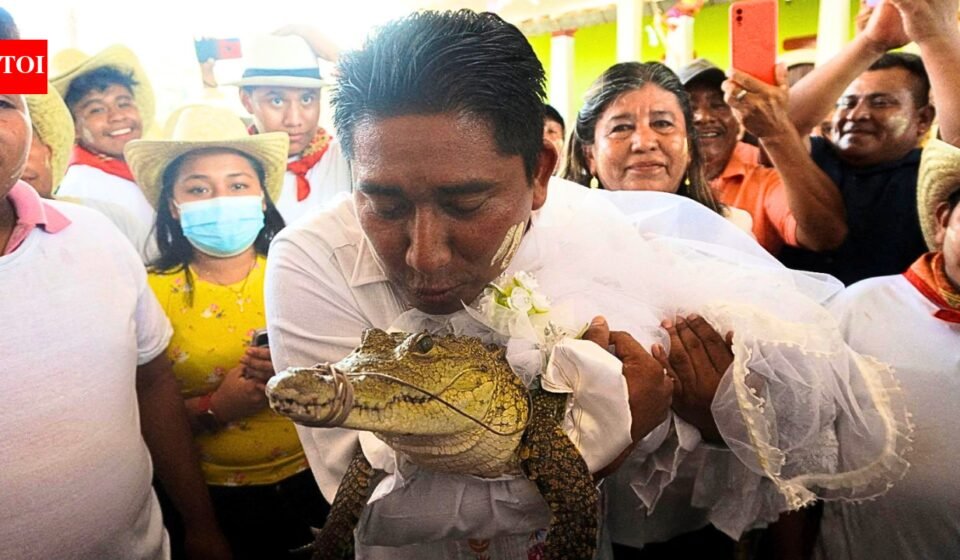 Crocodile Wedding: Mexico mayor marries caiman every year, but the real story is about people and nature | World News