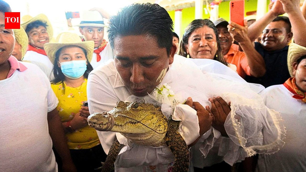 Crocodile Wedding: Mexico mayor marries caiman every year, but the real story is about people and nature | World News