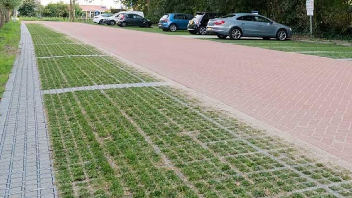 Dutch cities are replacing solid concrete surfaces with grass-covered pavers that absorb rainwater and help keep urban areas cool