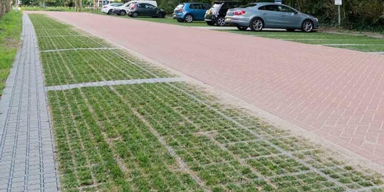 Dutch cities are replacing solid concrete surfaces with grass-covered pavers that absorb rainwater and help keep urban areas cool