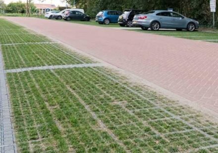 Dutch cities are replacing solid concrete surfaces with grass-covered pavers that absorb rainwater and help keep urban areas cool