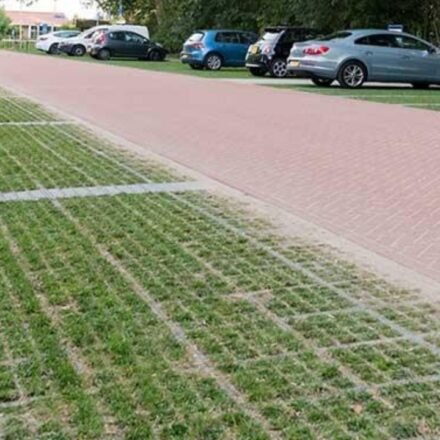 Dutch cities are replacing solid concrete surfaces with grass-covered pavers that absorb rainwater and help keep urban areas cool