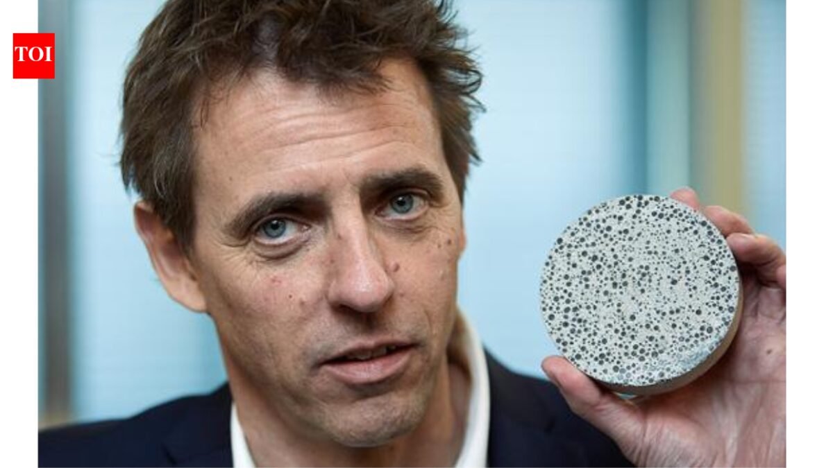 Dutch scientists have created a bacterium that can repair cracked buildings by turning cracks into stone, allowing concrete to heal itself and saving billions in repair costs |