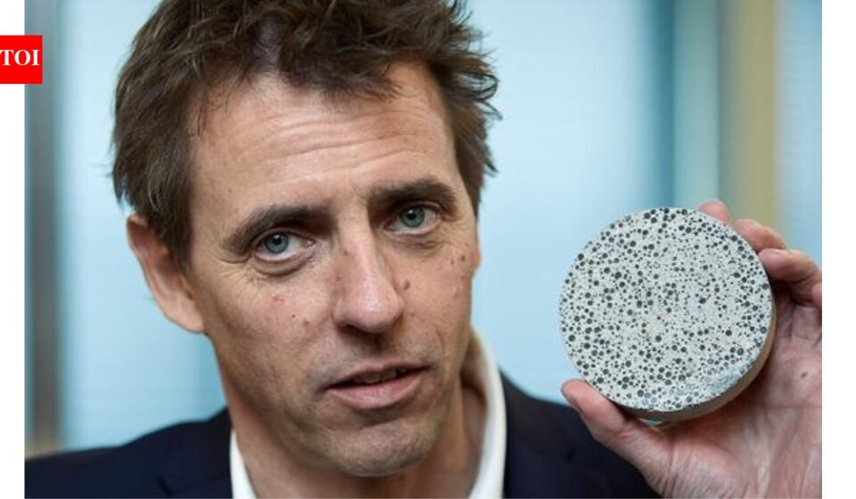 Dutch scientists have created a bacterium that can repair cracked buildings by turning cracks into stone, allowing concrete to heal itself and saving billions in repair costs |