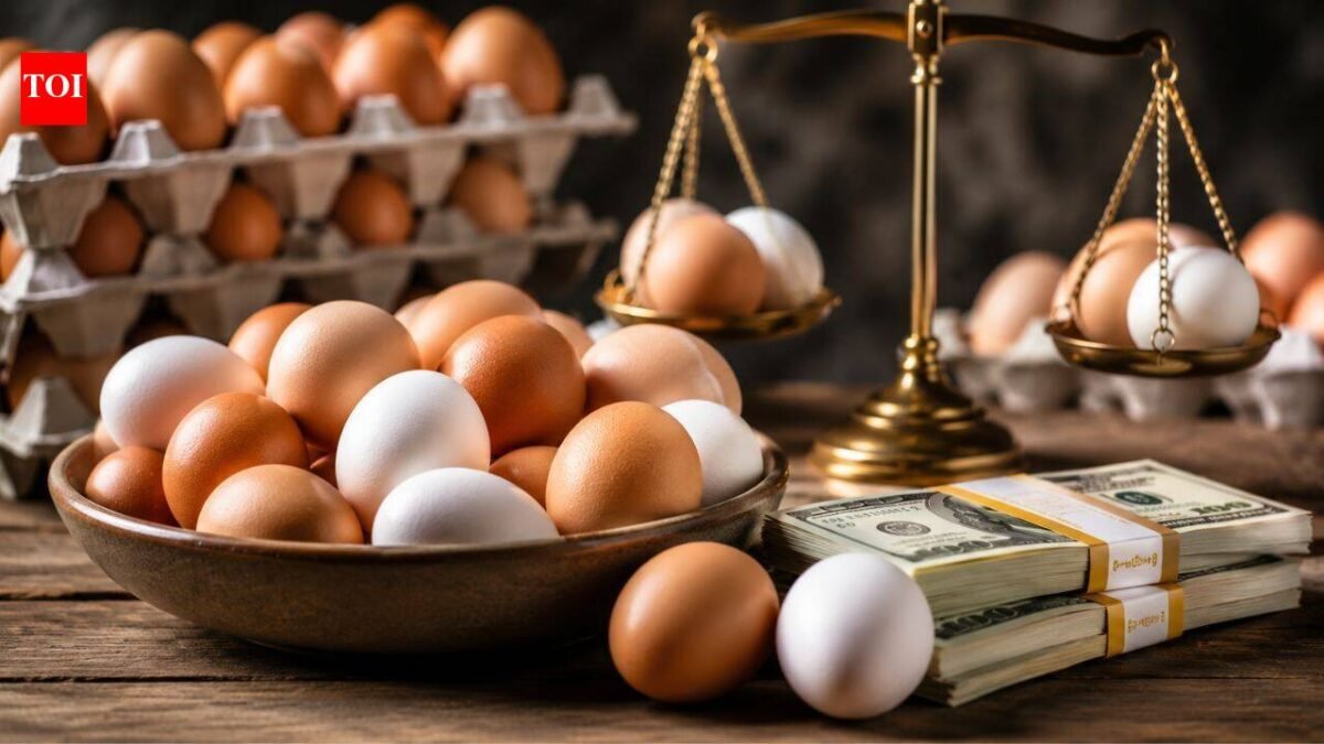 Egg companies made $1.22 billion while Americans paid more than $6 a dozen; now they'll donate 53 million eggs in DOJ settlement World News