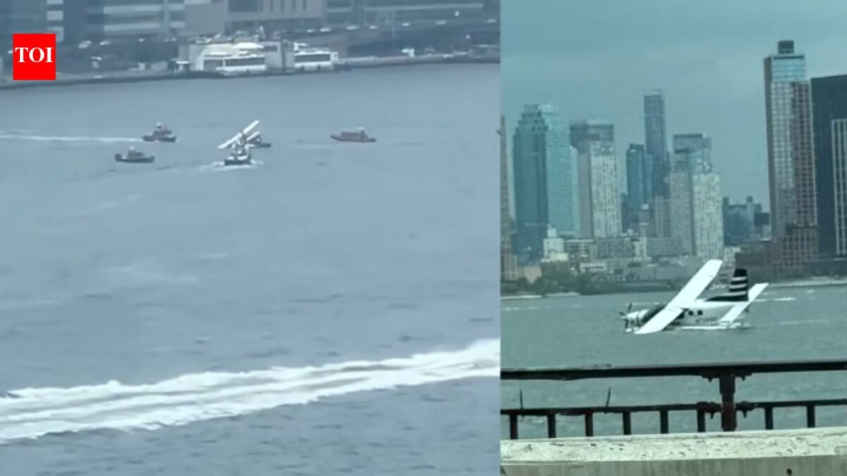 Floatplane carrying 8 people crashes into New York's East River, all rescued - Video
