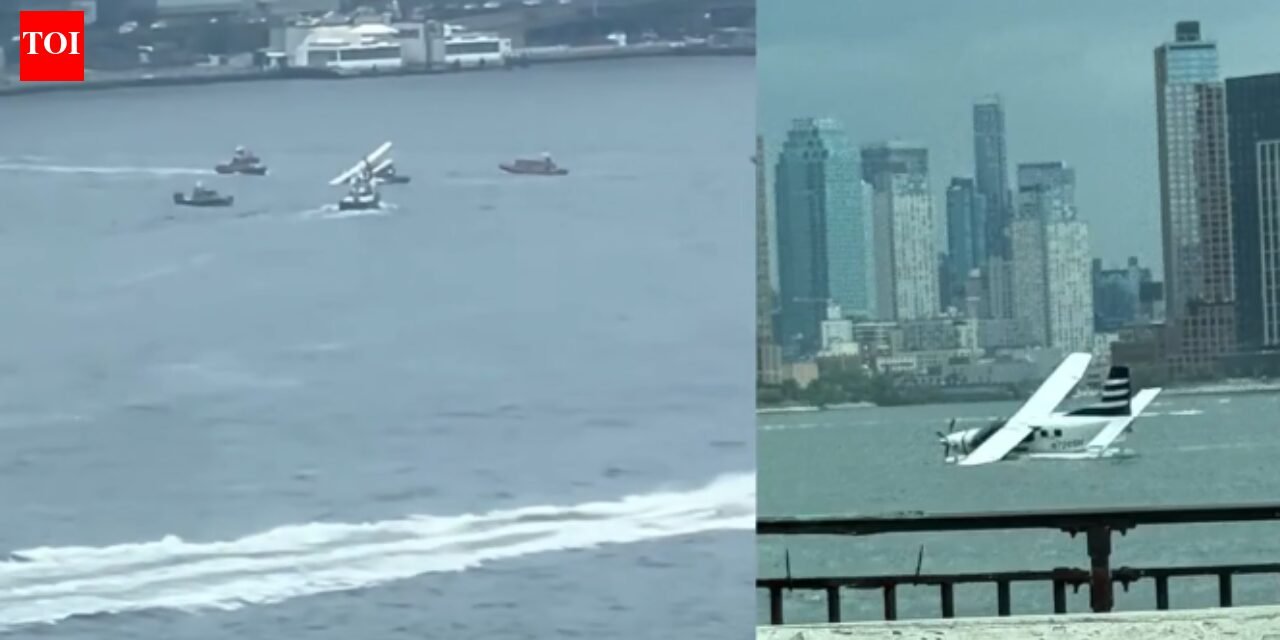 Floatplane carrying 8 people crashes into New York's East River, all rescued - Video