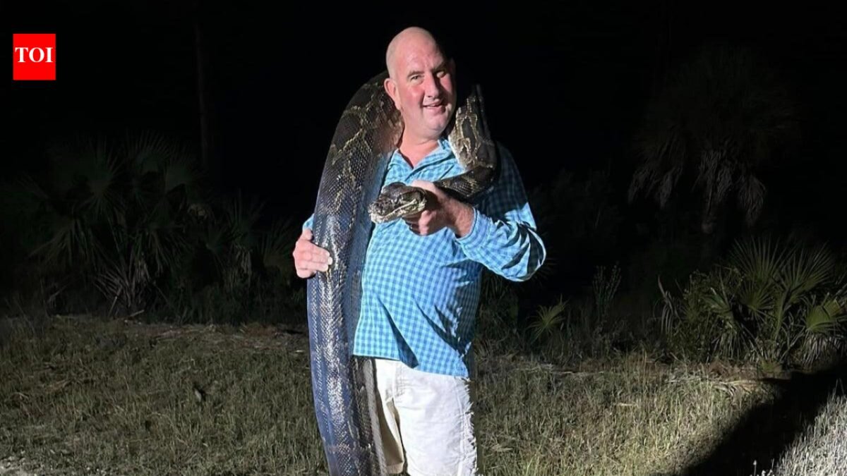 Florida dad caught a 202-pound Burmese python before it started dragging him toward a canal before his family was able to knock the giant snake down | World News