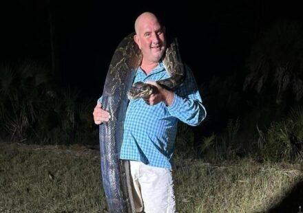 Florida dad caught a 202-pound Burmese python before it started dragging him toward a canal before his family was able to knock the giant snake down | World News