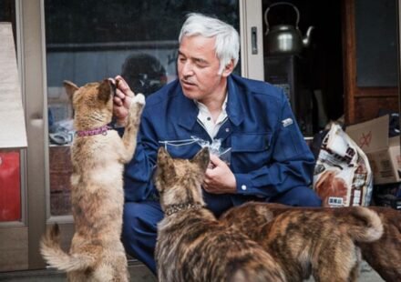 Fukushima nuclear disaster forces more than 150,000 people to flee and turns towns into ghost towns, but one man goes back to save animals: Meet Naoto Matsumura |