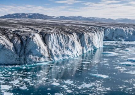 Greenland lost 105 billion tonnes of ice in a year, but scientists say darkening of its surface could make future melting worse World News