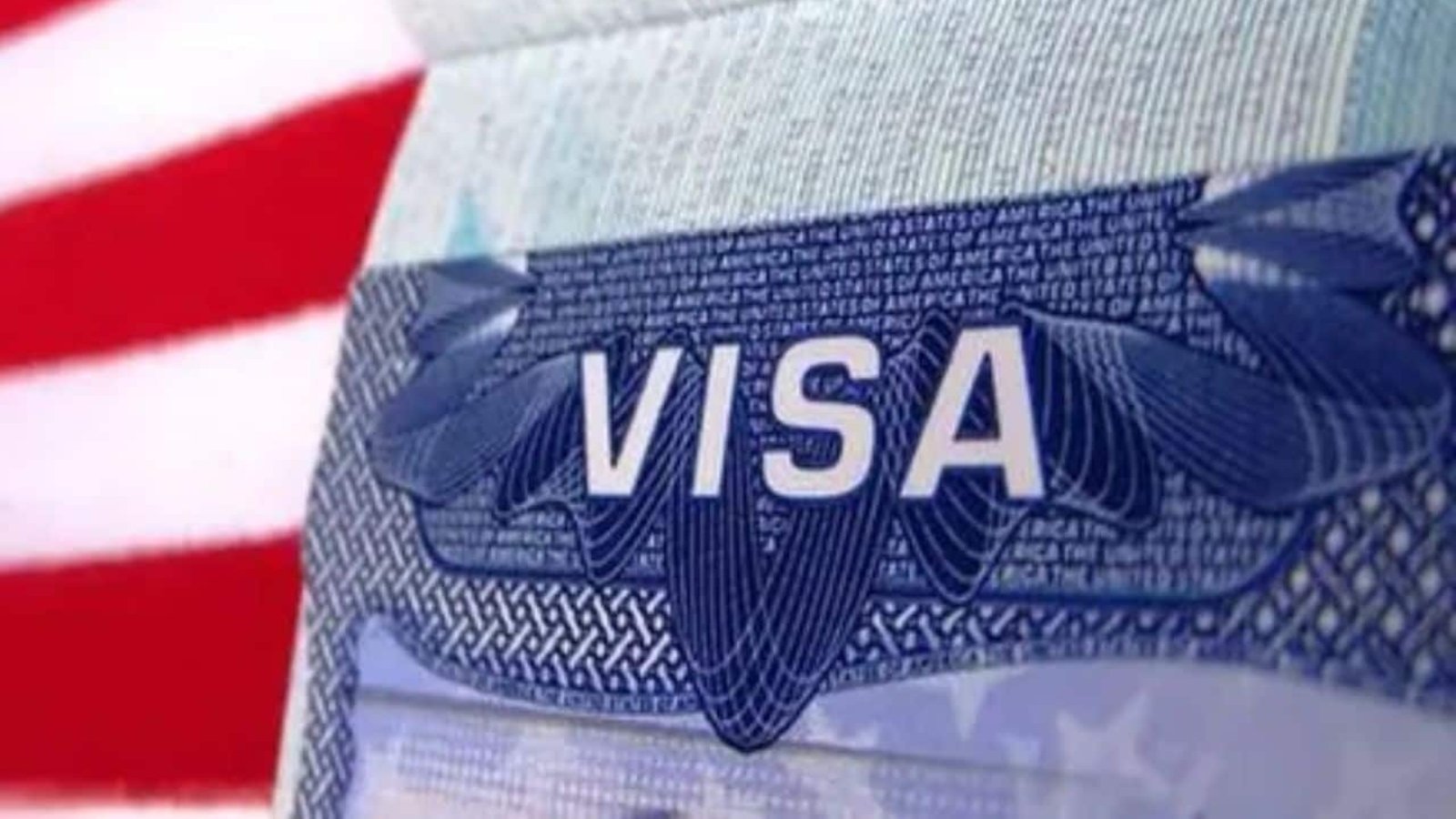 H-1B visas: US bans four companies from hiring foreign workers; here's why and what Indian applicants need to know