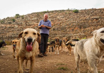 Houssein Hamze's rescued dog pulls him out of bed in 2006 shortly before bomb attacks; abandoned animals he refuses to leave in Lebanon when war returns World News