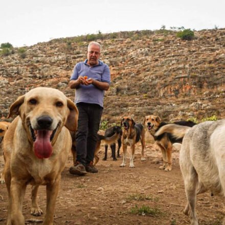 Houssein Hamze's rescued dog pulls him out of bed in 2006 shortly before bomb attacks; abandoned animals he refuses to leave in Lebanon when war returns World News
