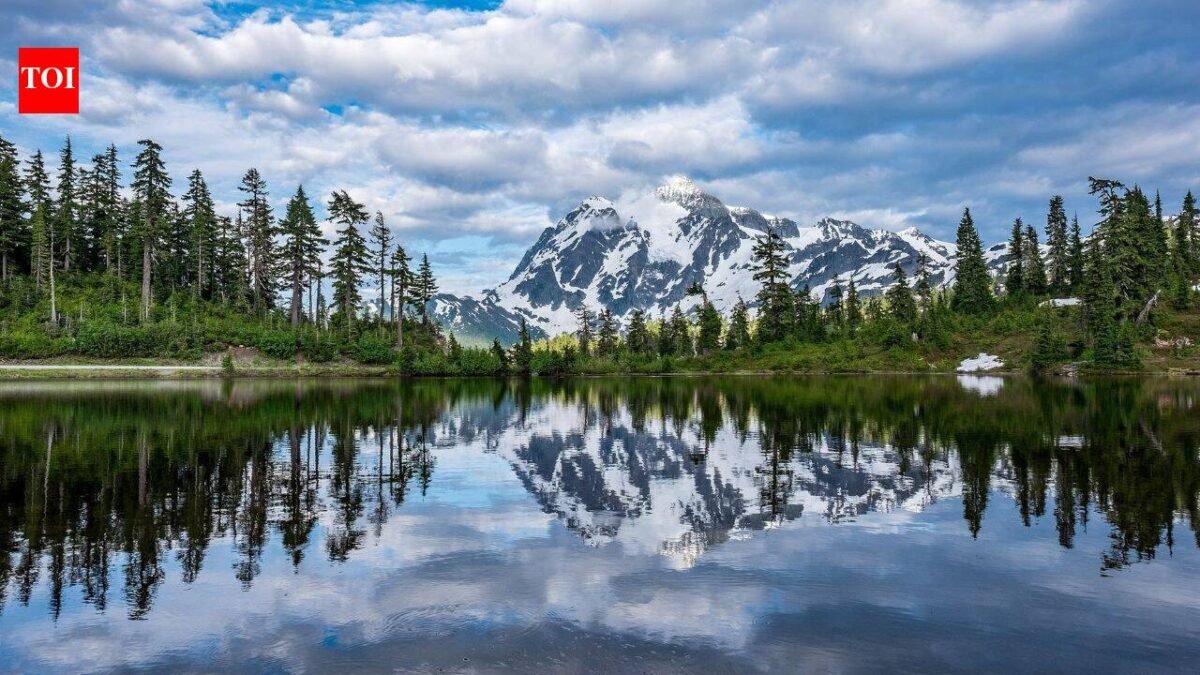 How to protect yourself from dangerous North American wildlife: Essential safety tips for visiting national parks | World News