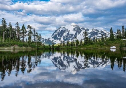How to protect yourself from dangerous North American wildlife: Essential safety tips for visiting national parks | World News