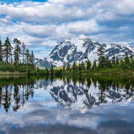 How to protect yourself from dangerous North American wildlife: Essential safety tips for visiting national parks | World News
