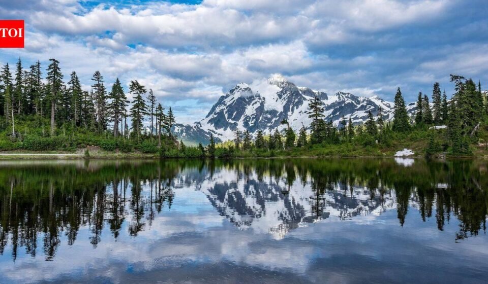 How to protect yourself from dangerous North American wildlife: Essential safety tips for visiting national parks | World News