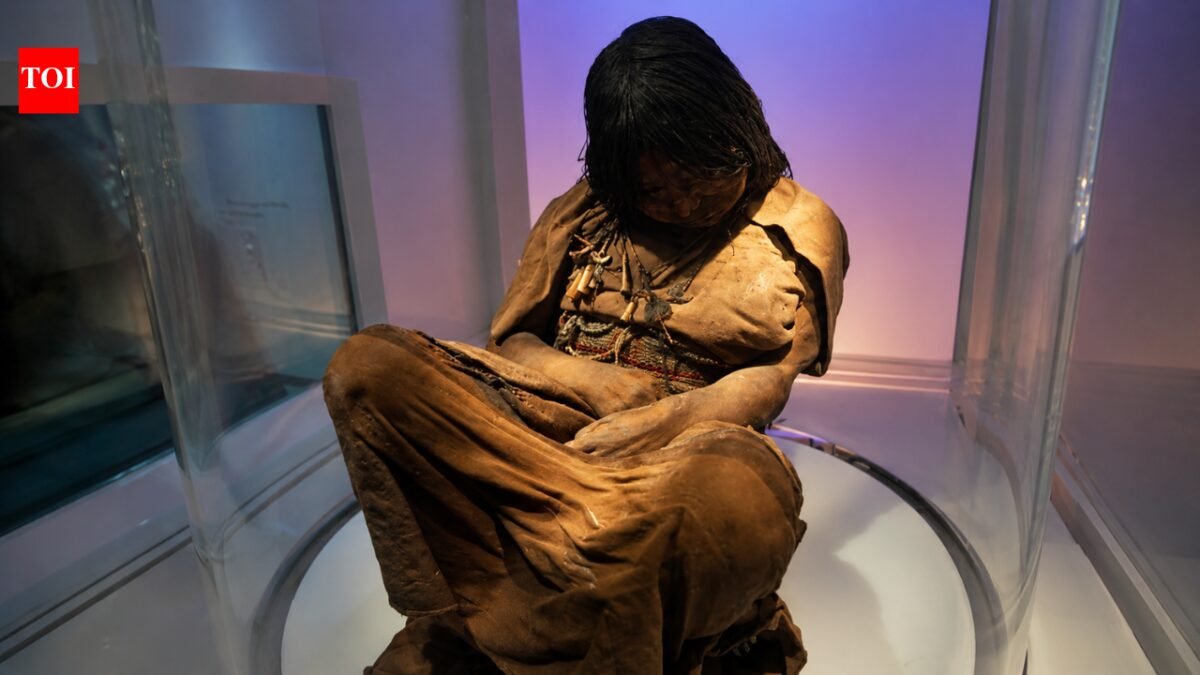 In 1999, archaeologists discovered a frozen Inca girl on a 6,739-meter-high volcano, where she had been untouched for more than 500 years. world news