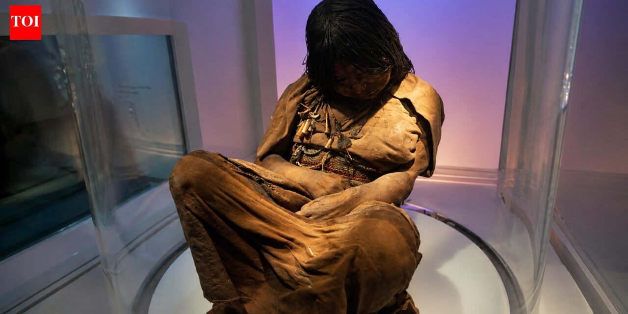 In 1999, archaeologists discovered a frozen Inca girl on a 6,739-meter-high volcano, where she had been untouched for more than 500 years. world news