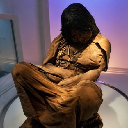 In 1999, archaeologists discovered a frozen Inca girl on a 6,739-meter-high volcano, where she had been untouched for more than 500 years. world news