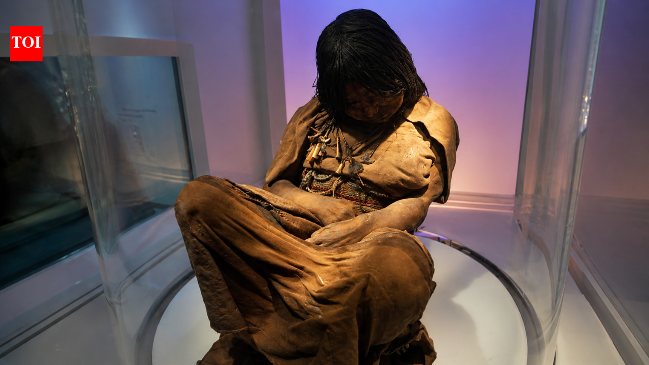 In 1999, archaeologists discovered a frozen Inca girl on a 6,739-meter-high volcano, where she had been untouched for more than 500 years. world news