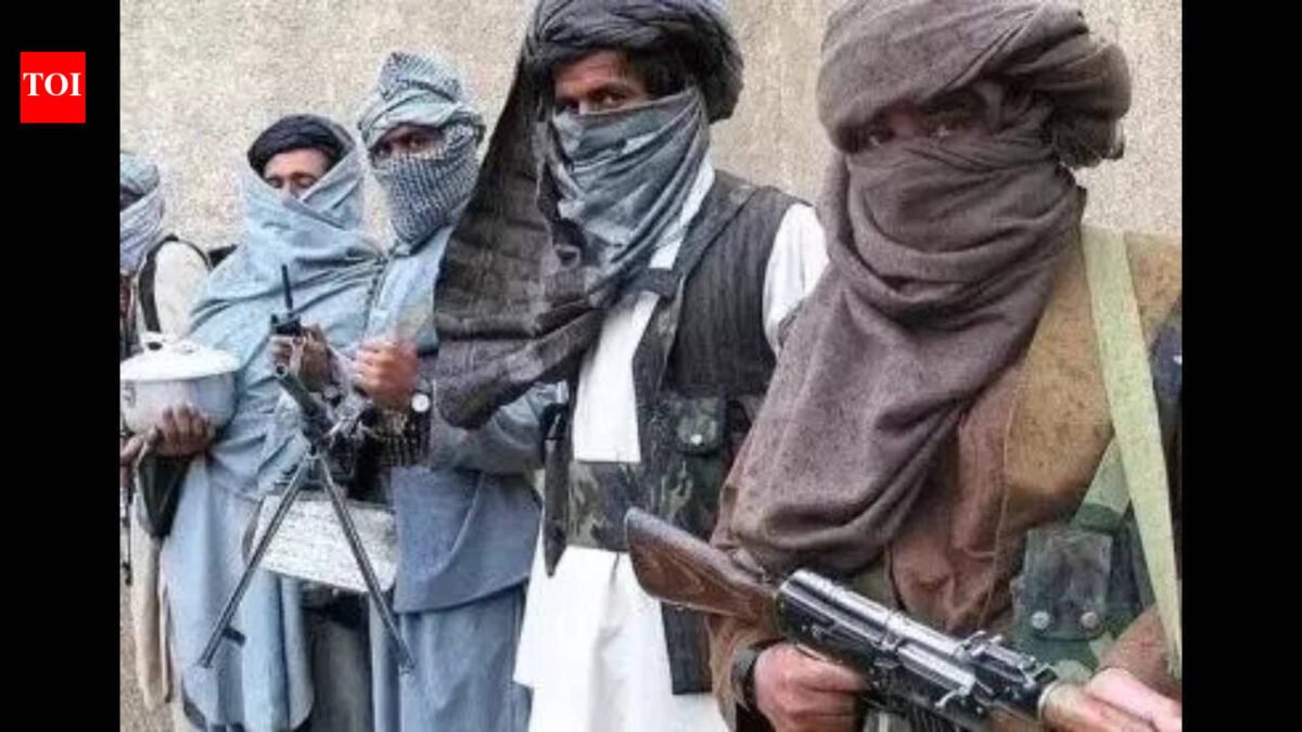 Insurgents kill 18 police officers, kidnap 11 soldiers in southwestern Pakistan this week