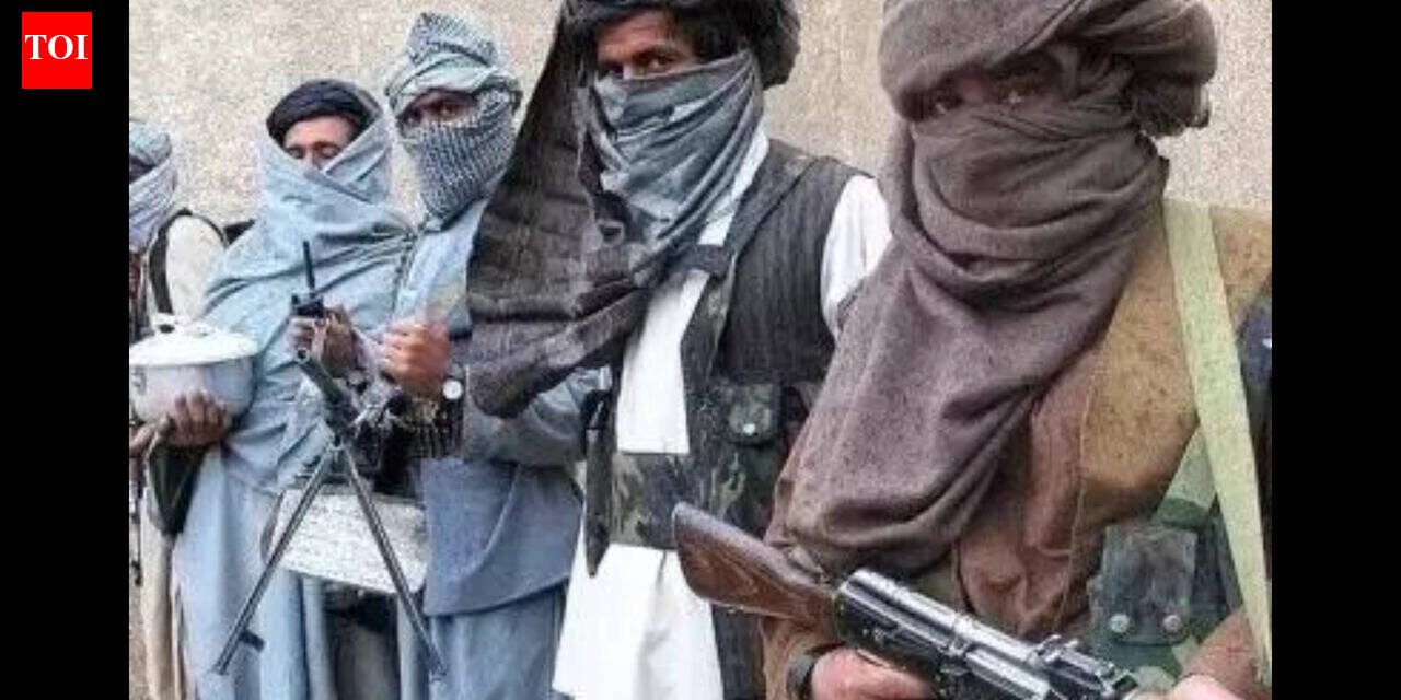 Insurgents kill 18 police officers, kidnap 11 soldiers in southwestern Pakistan this week