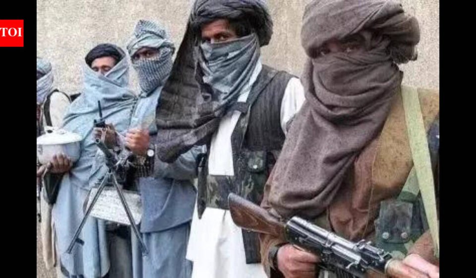 Insurgents kill 18 police officers, kidnap 11 soldiers in southwestern Pakistan this week