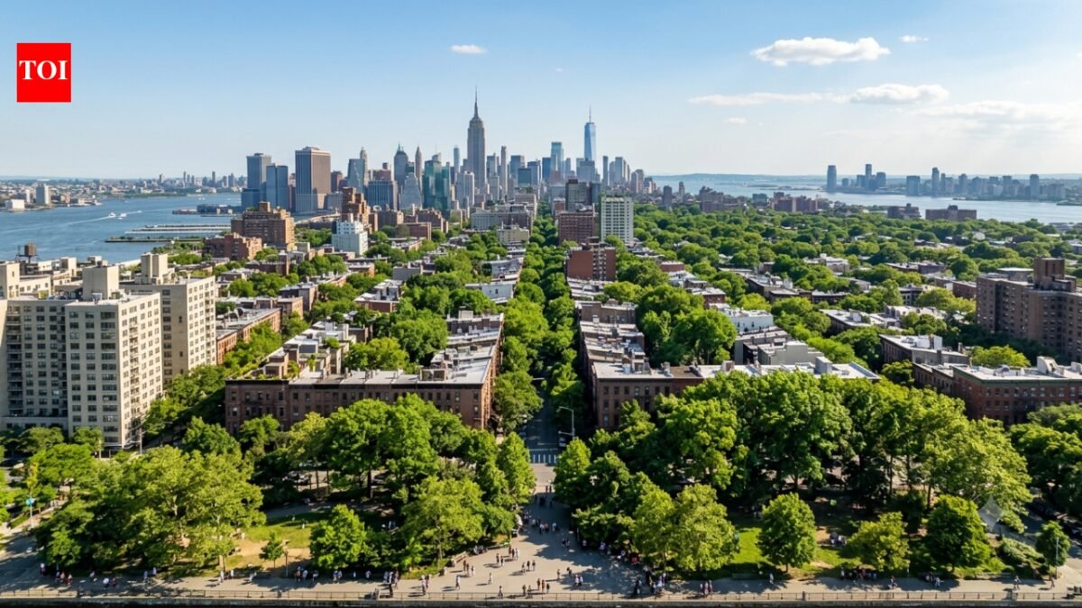 It took New York eight years to plant one million trees. Now city aims to achieve 30% tree cover by 2040 in a bid to transform the fight against rising heat | World News