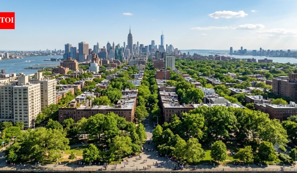 It took New York eight years to plant one million trees. Now city aims to achieve 30% tree cover by 2040 in a bid to transform the fight against rising heat | World News