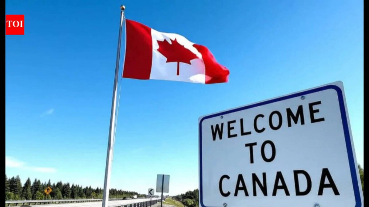Job market jokes, broken healthcare, depressing weather: Redditor says moving to Canada is the worst mistake, 'Don't fall for the dreams they're selling you online'