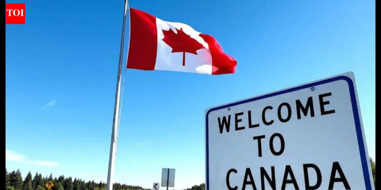 Job market jokes, broken healthcare, depressing weather: Redditor says moving to Canada is the worst mistake, 'Don't fall for the dreams they're selling you online'