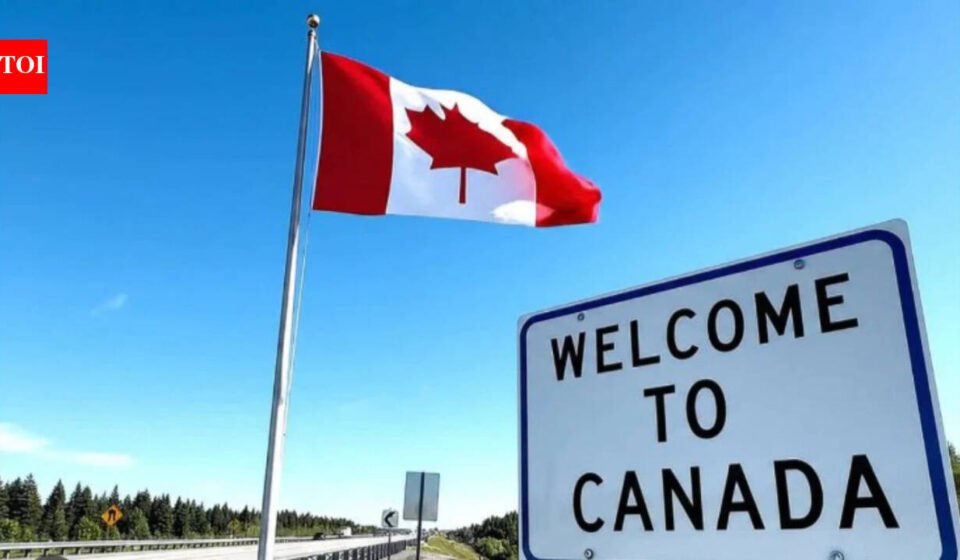 Job market jokes, broken healthcare, depressing weather: Redditor says moving to Canada is the worst mistake, 'Don't fall for the dreams they're selling you online'