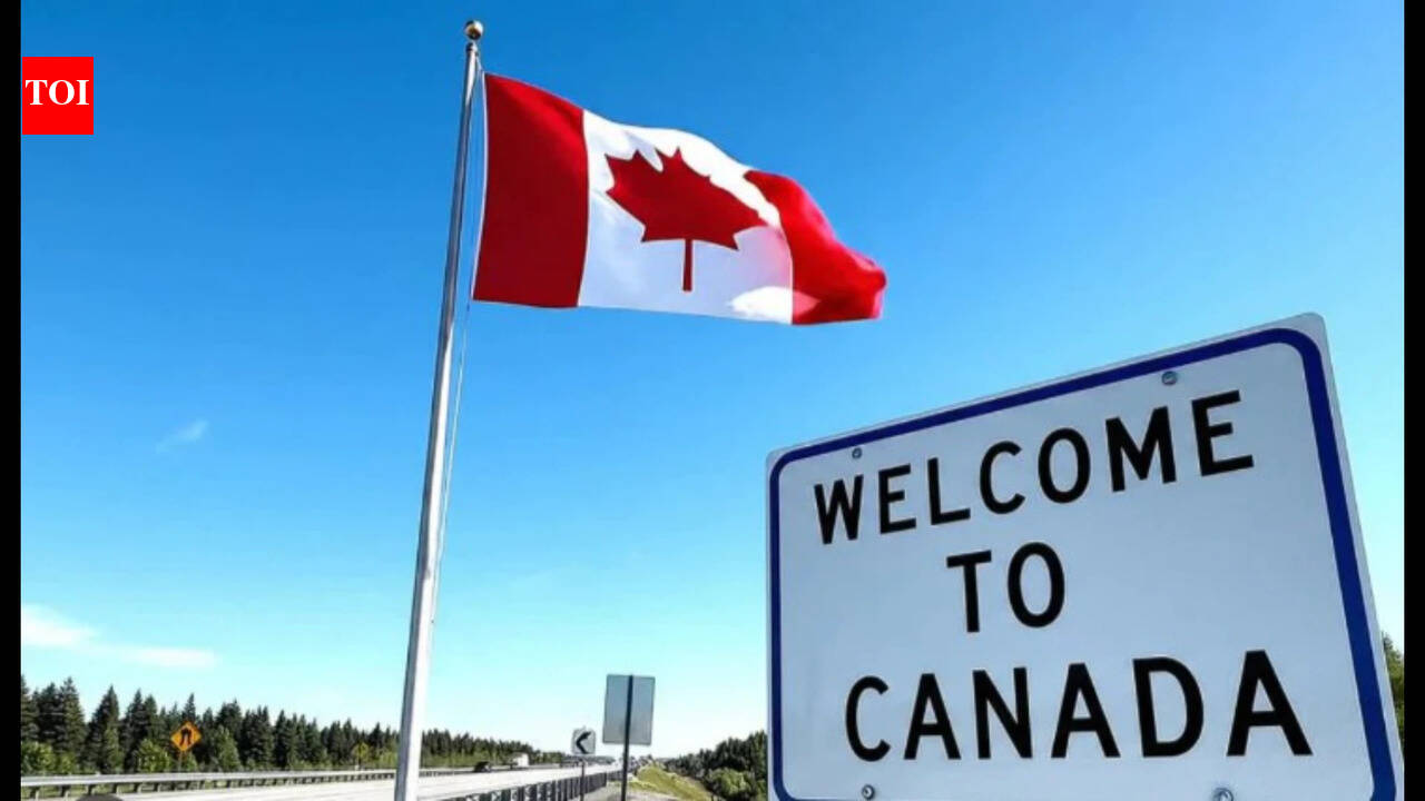 Job market jokes, broken healthcare, depressing weather: Redditor says moving to Canada is the worst mistake, 'Don't fall for the dreams they're selling you online'