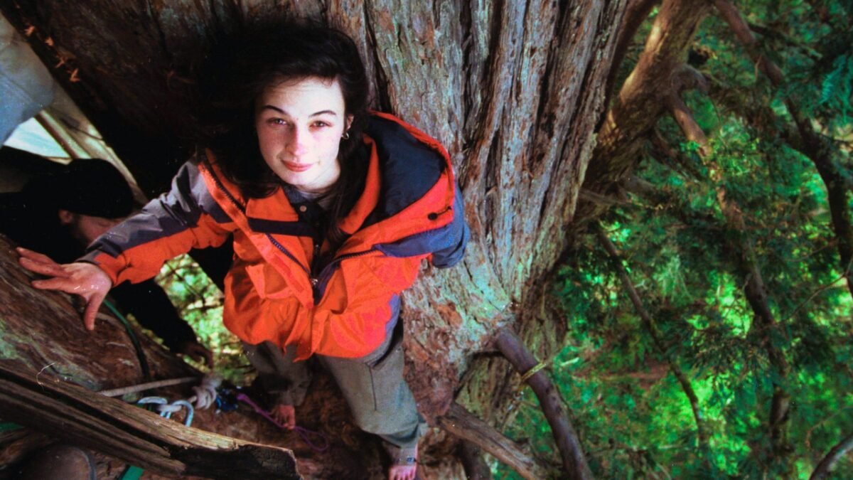 Meet Julia Butterfly Hill: The 23-year-old climbed a 1,000-year-old tree and stayed there for 738 days before it was chopped down | World News