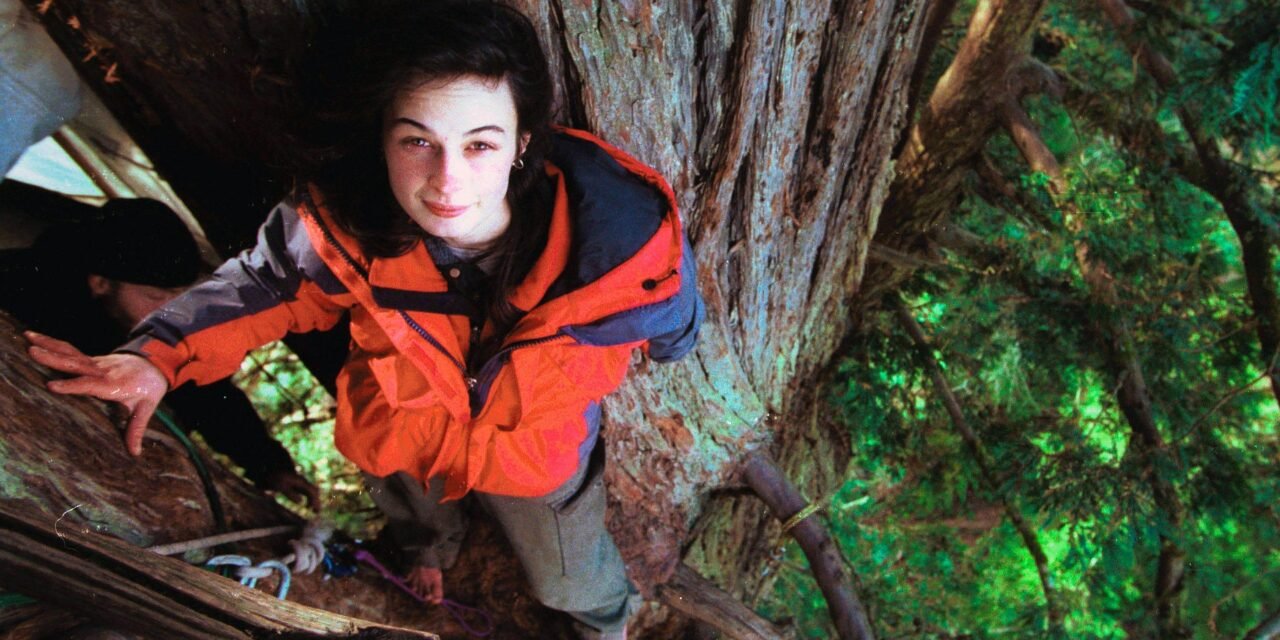 Meet Julia Butterfly Hill: The 23-year-old climbed a 1,000-year-old tree and stayed there for 738 days before it was chopped down | World News