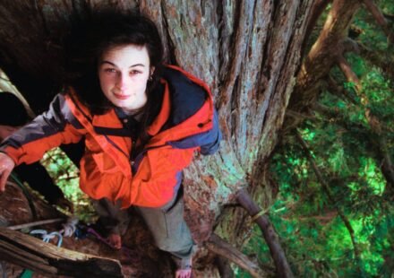 Meet Julia Butterfly Hill: The 23-year-old climbed a 1,000-year-old tree and stayed there for 738 days before it was chopped down | World News