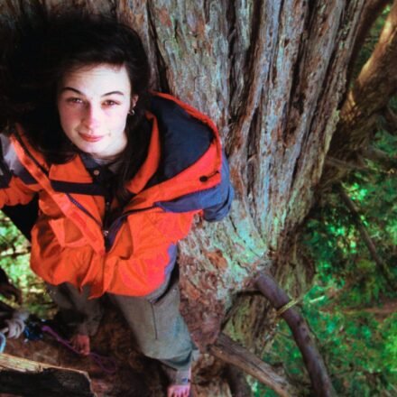 Meet Julia Butterfly Hill: The 23-year-old climbed a 1,000-year-old tree and stayed there for 738 days before it was chopped down | World News