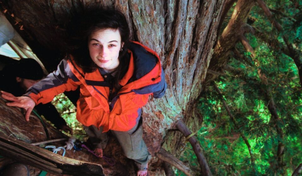 Meet Julia Butterfly Hill: The 23-year-old climbed a 1,000-year-old tree and stayed there for 738 days before it was chopped down | World News
