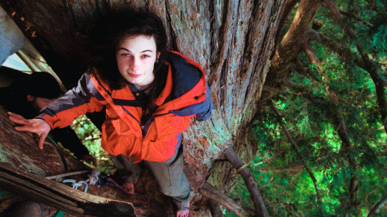 Meet Julia Butterfly Hill: The 23-year-old climbed a 1,000-year-old tree and stayed there for 738 days before it was chopped down | World News