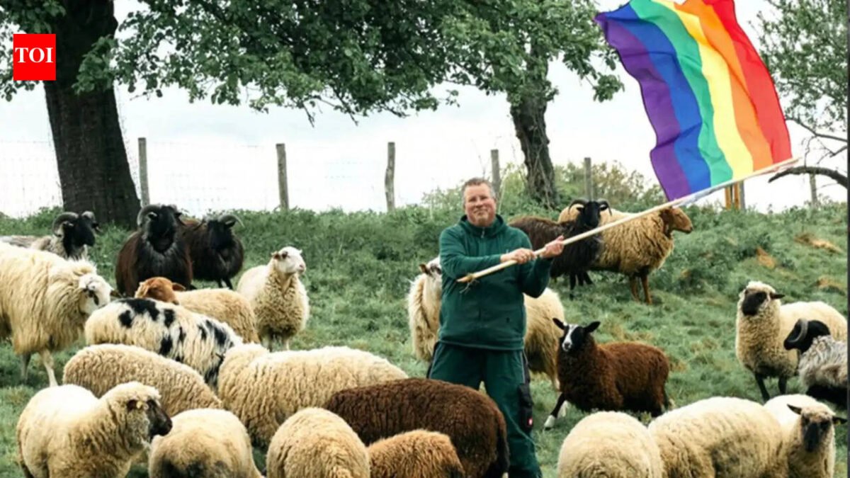 Meet Michael Stucke: German farmer saves 'gay' sheep from slaughterhouse and uses proceeds to help people fleeing homophobic persecution | World News