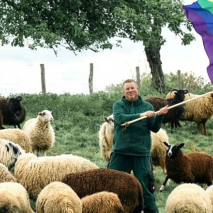 Meet Michael Stucke: German farmer saves 'gay' sheep from slaughterhouse and uses proceeds to help people fleeing homophobic persecution | World News